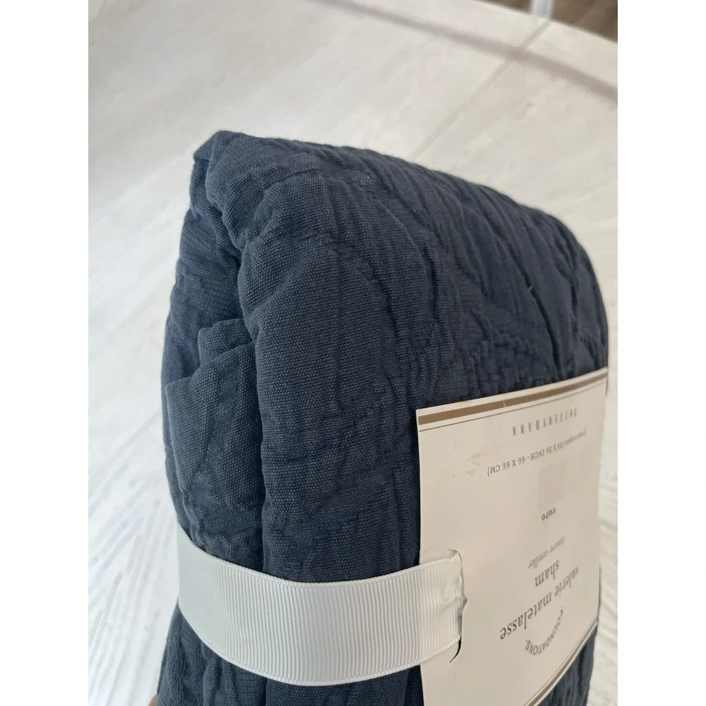 NIP Pottery Barn Valerie Matelassé Euro Sham 26x26